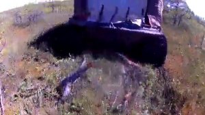 Васюганские болота.