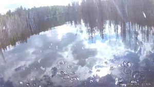 Красота! На рыбалке в Усть-Илимске! Река Тушама!