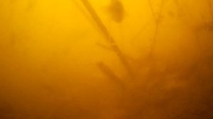 С ЭТОЙ ПРИКОРМКОЙ ТЫ ЗАБЕРЁШЬ ВСЮ РЫБУ, СЕКРЕТ! Прикормка, подводная съемка, реакция рыбы на молоко