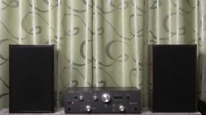 Как звучит усилитель Telefunken TA 350 и акустика 10 Мас 1м родом из СССР