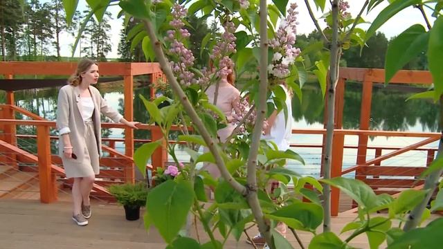 Садовый ландшафтный дизайн/ Эко-стиль в ландшафтном дизайне/Тренды в ландшафтном дизайне