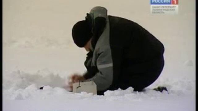 На Сестрорецком разливе Кубок города по зимней рыбалке смотреть онлайн