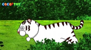 Color doesn’t matterㅣA white tiger story, animals cartoon for childrenㅣCoCosToy