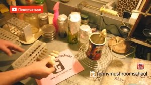 Грибы, скошеный агар,  САМАЯ простая техника, урок 6, funnymushroomschool