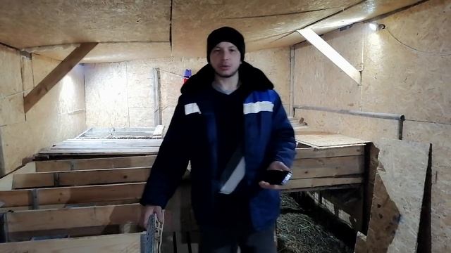 ОТВЕТЫ НА КОММЕНТАРИИ О???КРОЛИКОВОДСТВЕ, НОВАЯ РУБРИКА смотреть онлайн