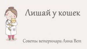 Лишай у кошек - признаки, лечение