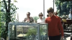 Heintje - Scheiden tut so weh ( filmfragment ) ( 1969 )