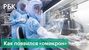 Происхождение омикрон-штамма коронавируса — мог ли он появиться в лаборатории. Мнения экспертов