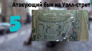 10 Интереснейших Веб Камер мира!