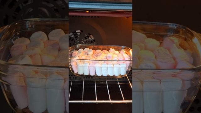 Маршмеллоу с шоколадом. Быстрый и вкусный десерт.