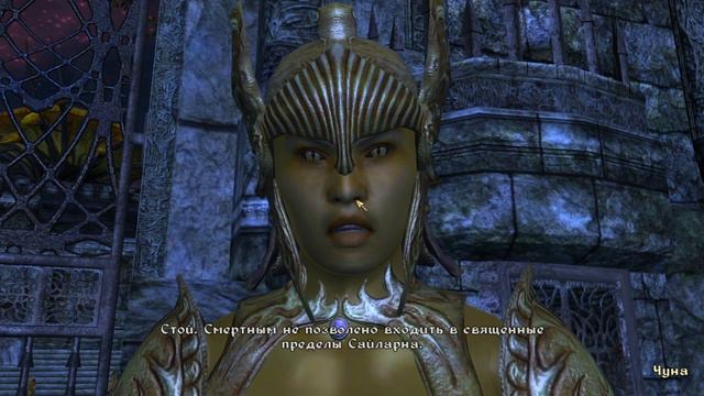Я ЧЕЛОВЕК ФАКЕЛ!! (ПРОХОЖДЕНИЕ THE ELDER SCROLLS IV: OBLIVION - DLС #5)
