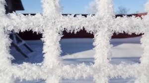 И. С. Бах. Зима. (Органная музыка,скрипка)
