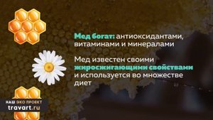 Если есть Чеснок с Медом Натощак 7 дней, со здоровьем произойдет чудо! Мед и чеснок польза