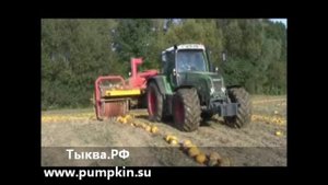 Тыквоуборочный комбайн, новые и бу