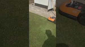 Робот газонокосилка WORX Landroid WR148e. Отзыв о работе .