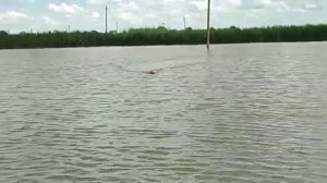 Прикормочный кораблик т188 переделка на бесколлектор