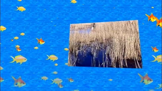 май 2016 озеро глубокое смотреть онлайн