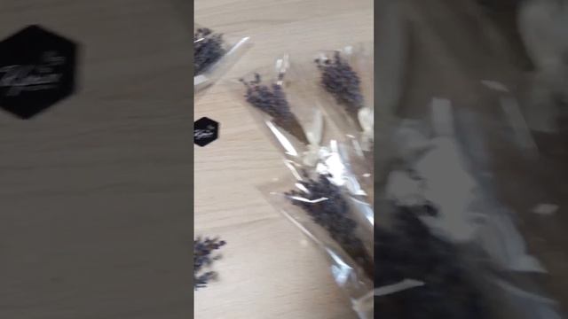 Крымская лаванда