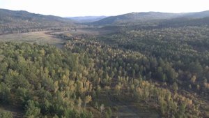 Исчезнувшая деревня "Васильевка".