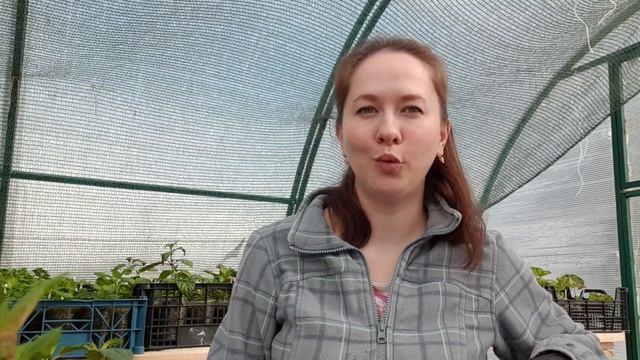 Фуксии весной ч.2. Что делать с домашними? смотреть онлайн