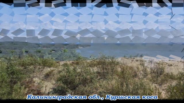 КУРШСКАЯ КОСА: от высоты Эфа до танцующего леса. смотреть онлайн