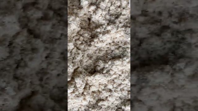 Древесная мука 180мкм марка 180 по ГОСТ 16361 87 смотреть онлайн