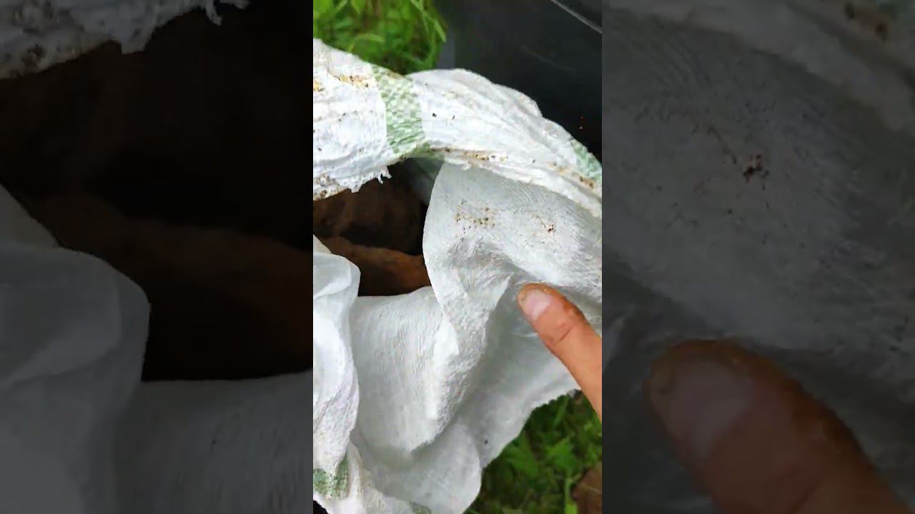 #металлокоп Поперло.Без машины грустно смотреть онлайн