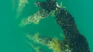 Рыбалка в Балаклаве.   Планета рыбака ©