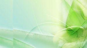 Как правильно подготовить помещение к обработке холодным туманом от насекомых, вирусов, бактерий