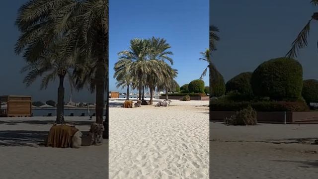 Какая красота в Abu Dhabi, Emirates palace. Всем рекомендую. смотреть онлайн