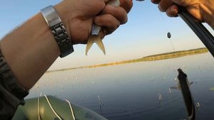 Закинул поплавок в КАМЫШИ , СРАЗУ ЗАКЛЕВАЛО ! Рыбалка на поплавочную удочку с лодки . Рыбалка 2021