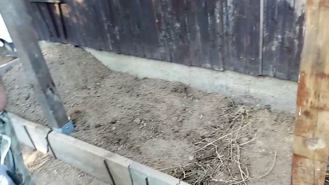 Дачные  дела... Подкормка  для помидор / Посадка  Герани