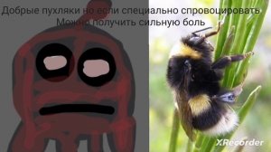 Кто из насекомых тебя укусил/ужалил: жуткие лица Ам няма (мем) (Перезалив с Ютуба 06.06.2023)