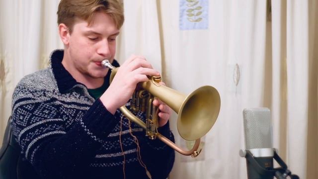Have You Met Miss Jones Flugelhorn Cover смотреть онлайн