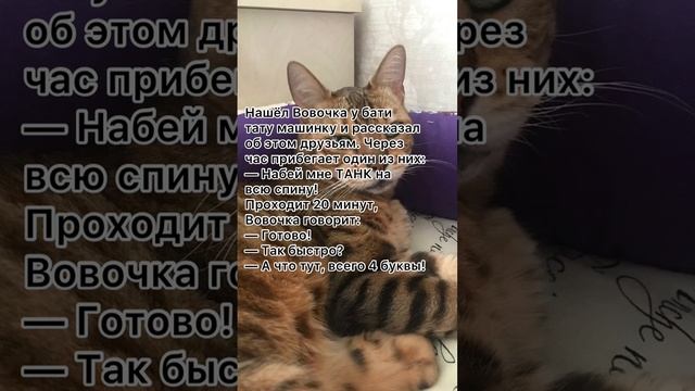 Танк ? #анекдоты #анекдоткороткий #анекдототкожаного