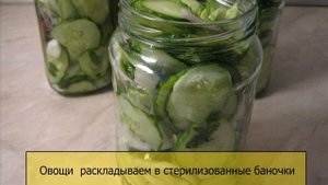 Огурцы кружочками с луком на зиму
