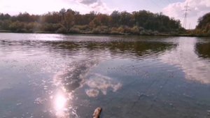 НА КАРАСЯ В СЕНТЯБРЕ. Рыбалка на фидер. Ловля 2023.