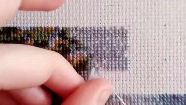Живой процесс. "Одинокая берёза".