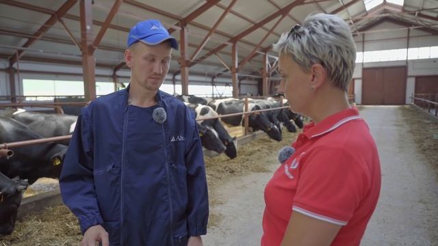 От банкротства до интенсивного развития. Молочное животноводство | КУЛЬТИВАТОР