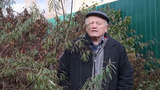 Какое  опасное вещество может находится в продуктах промышленного производства? Мой опыт борьбы.