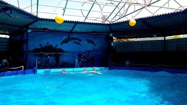 Кабардинка 2018.Дельфинарий. смотреть онлайн