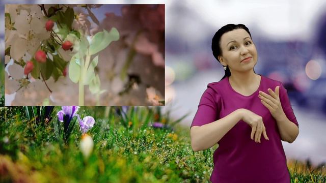 Жизнь моя в Твоих руках (с переводом на жестовый язык Стралковской Марины) смотреть онлайн