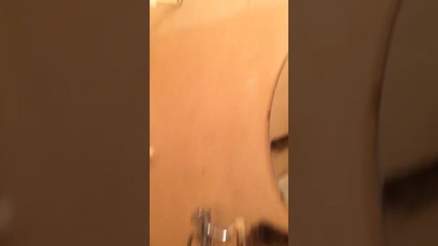 Квартира кишит тараканами! Такого вы еще не видели смотреть онлайн