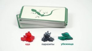Настольная игра ПРАВИЛЬНЫЕ ИГРЫ Эволюция. Случайные мутации