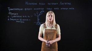 БИОЛОГИЯ 6 класс: Испарение воды растениями | Листопад
