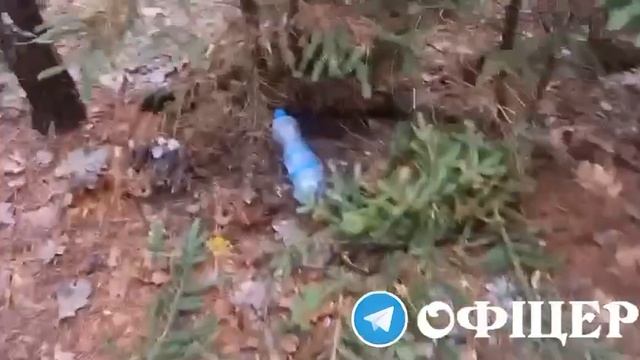 Всушники в Сумской области показали место, где до этого была наша ДРГ
