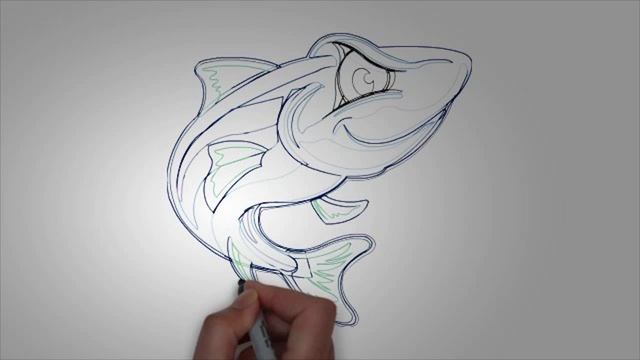 Рисунки карандашом про рыб. Рисуем поэтапно рыбу смотреть онлайн