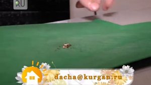 Простой рецепт красноголовиков