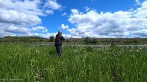 СПИННИНГ КРОКОДИЛ ТРЕЩИТ ПО ШВАМ! КАРП ПРОВЕРЯЕТ НА ПРОЧНОСТЬ CROCODILE.