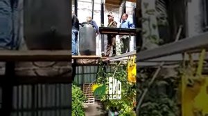 Биовегетарий и огород  круглый год. Экскурсия: гости из ПРП"Радосвет"